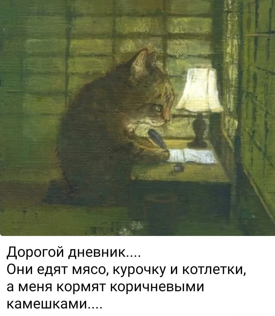 KakaoTalk_20241107_092303997_02.jpg?type=w1