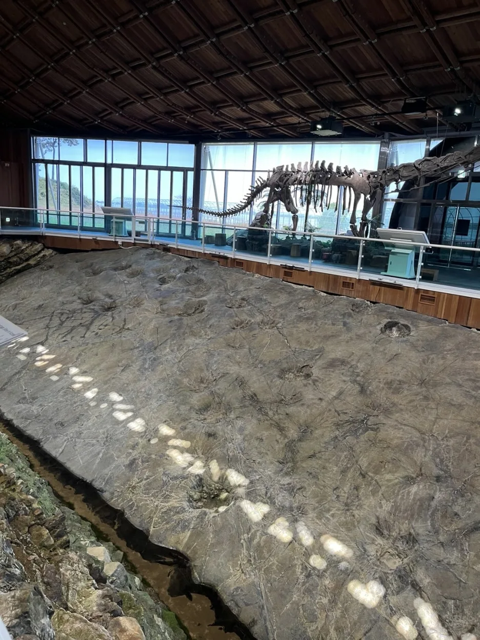 KakaoTalk_20250528_213316058_20.jpg?type=w1