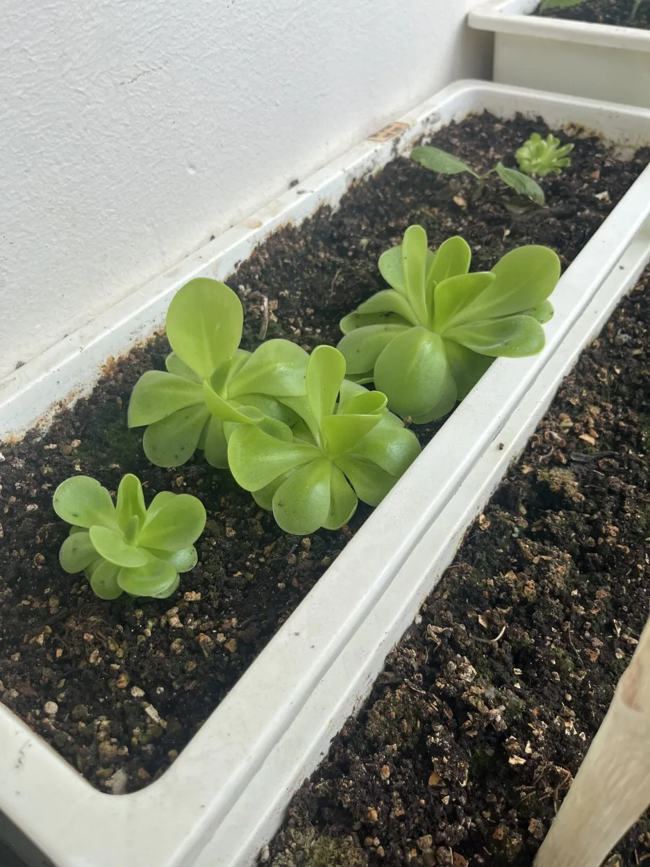 KakaoTalk_20250628_095459608_12.jpg?type=w1