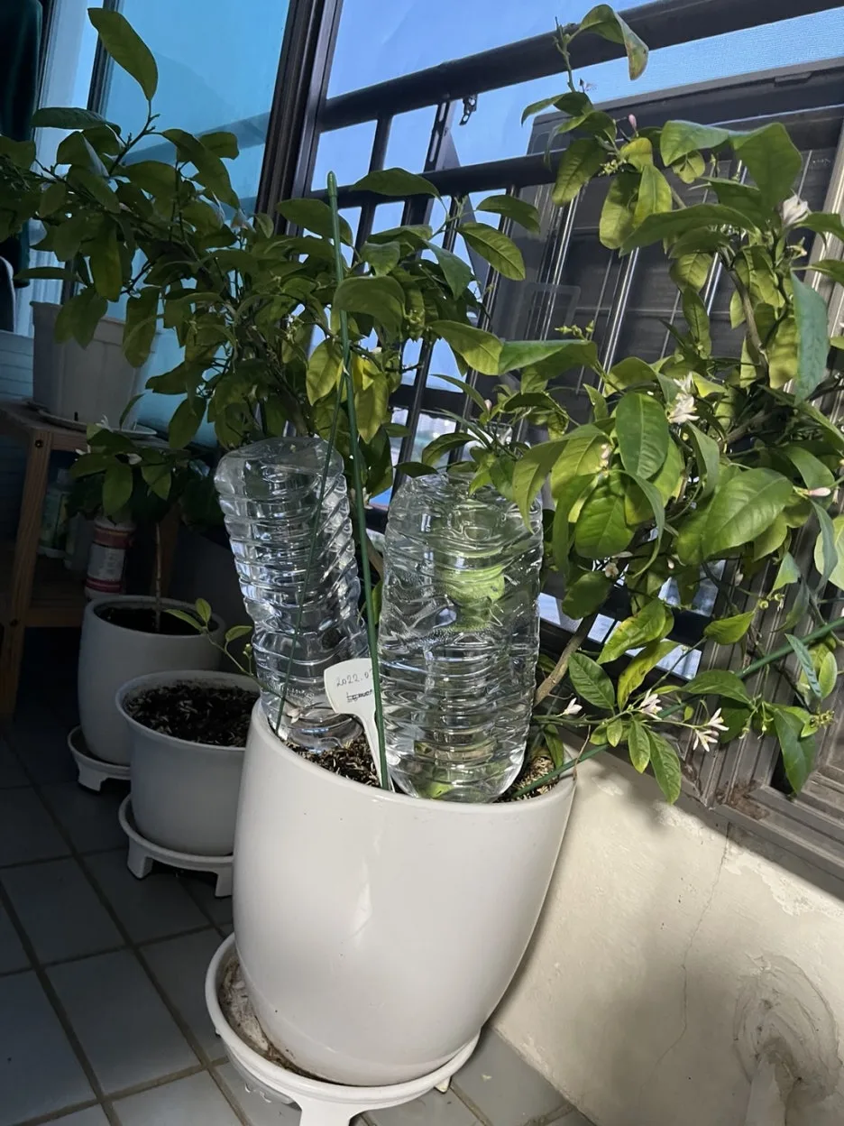 KakaoTalk_20250504_212413671_14.jpg?type=w1