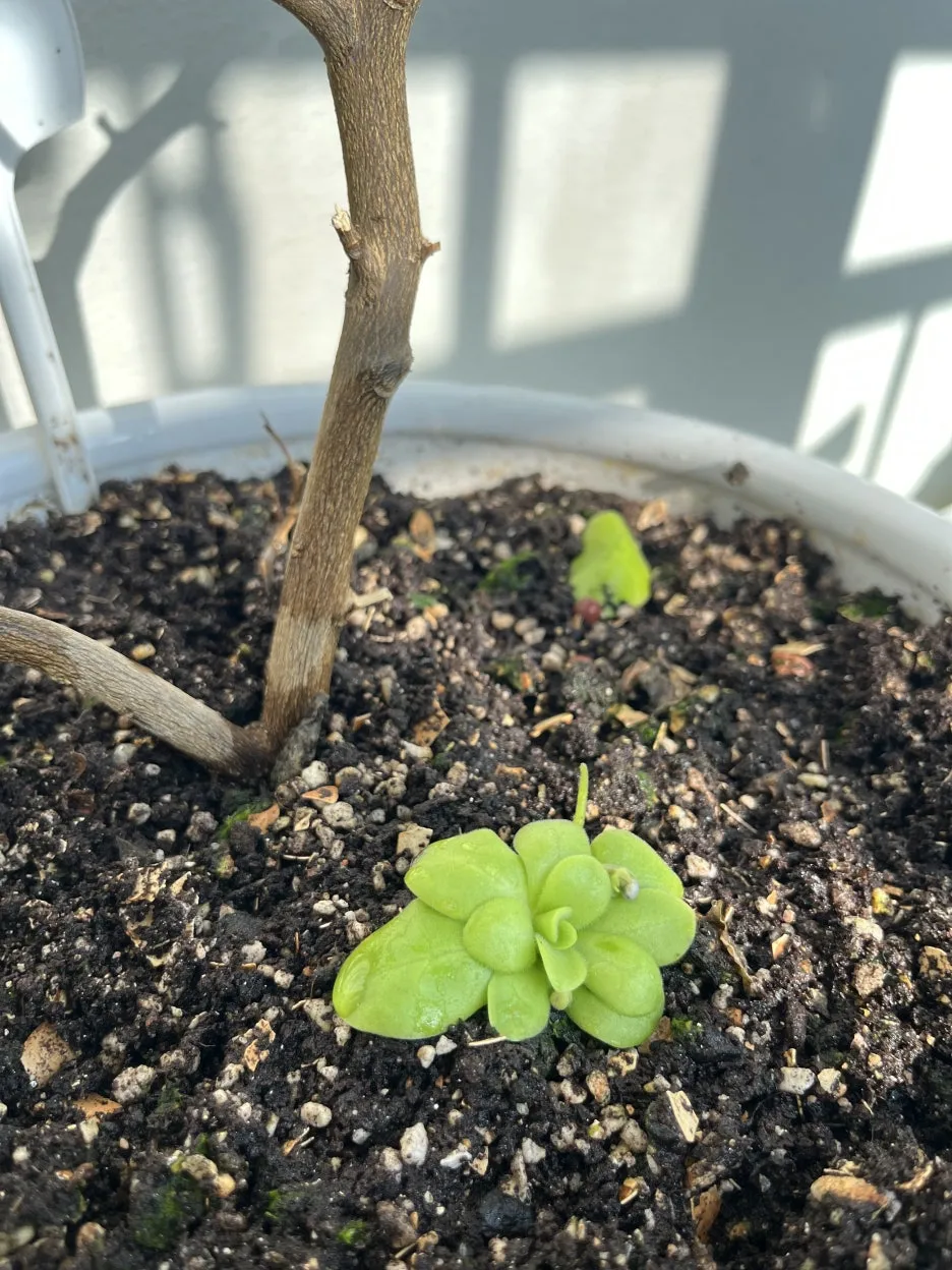 KakaoTalk_20251225_151100538_01.jpg?type=w1