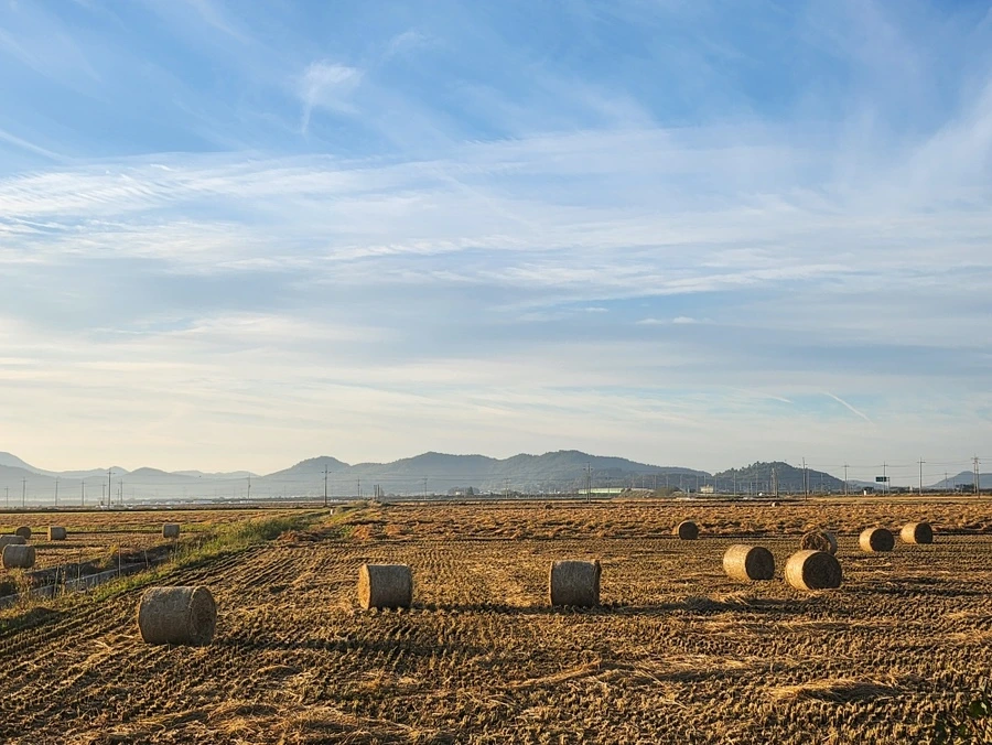 IMG%EF%BC%BF3003.JPG?type=w1