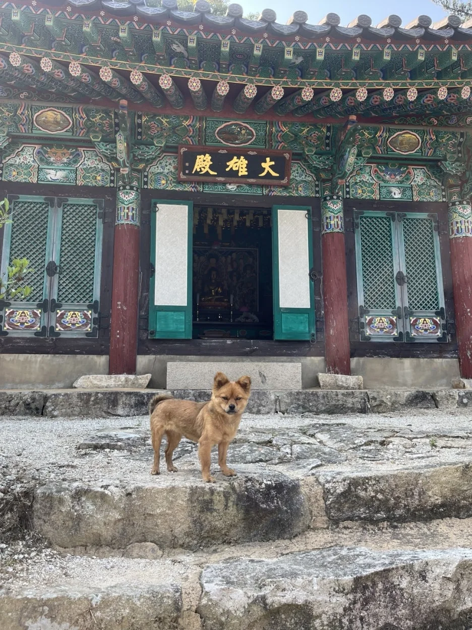 KakaoTalk_20250529_192531920_10.jpg?type=w1