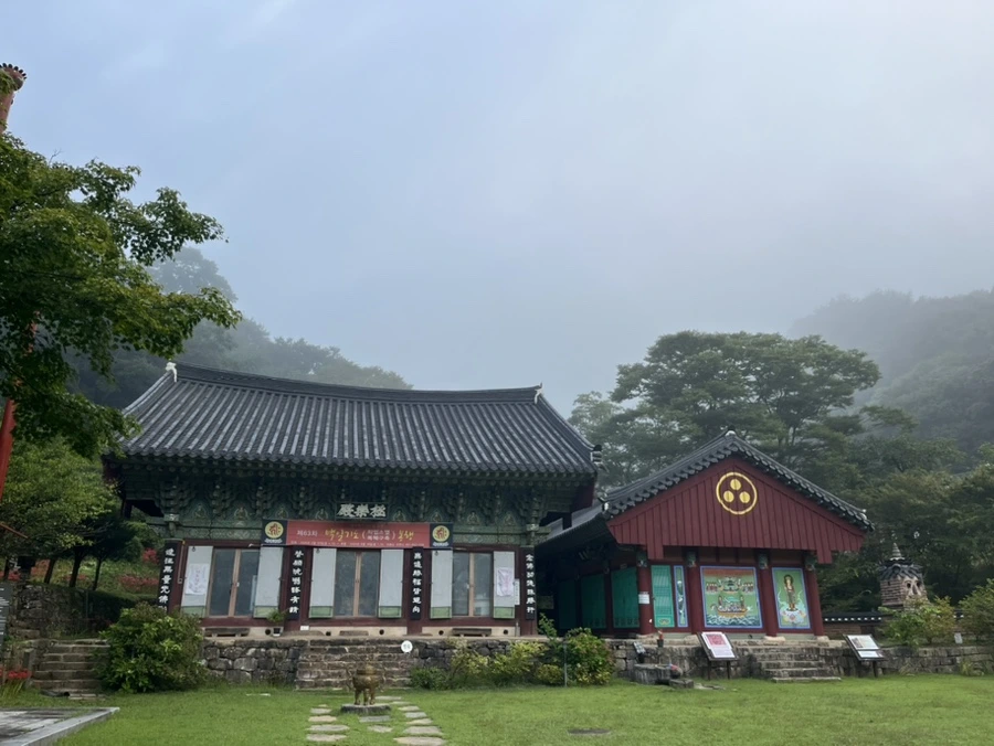 IMG_6950.jpg?type=w1