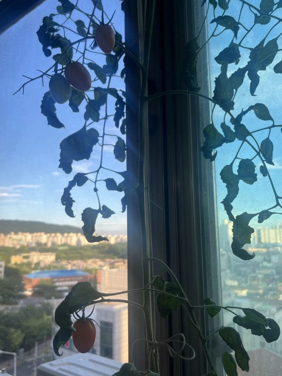 KakaoTalk_20230805_122025258.jpg?type=w1