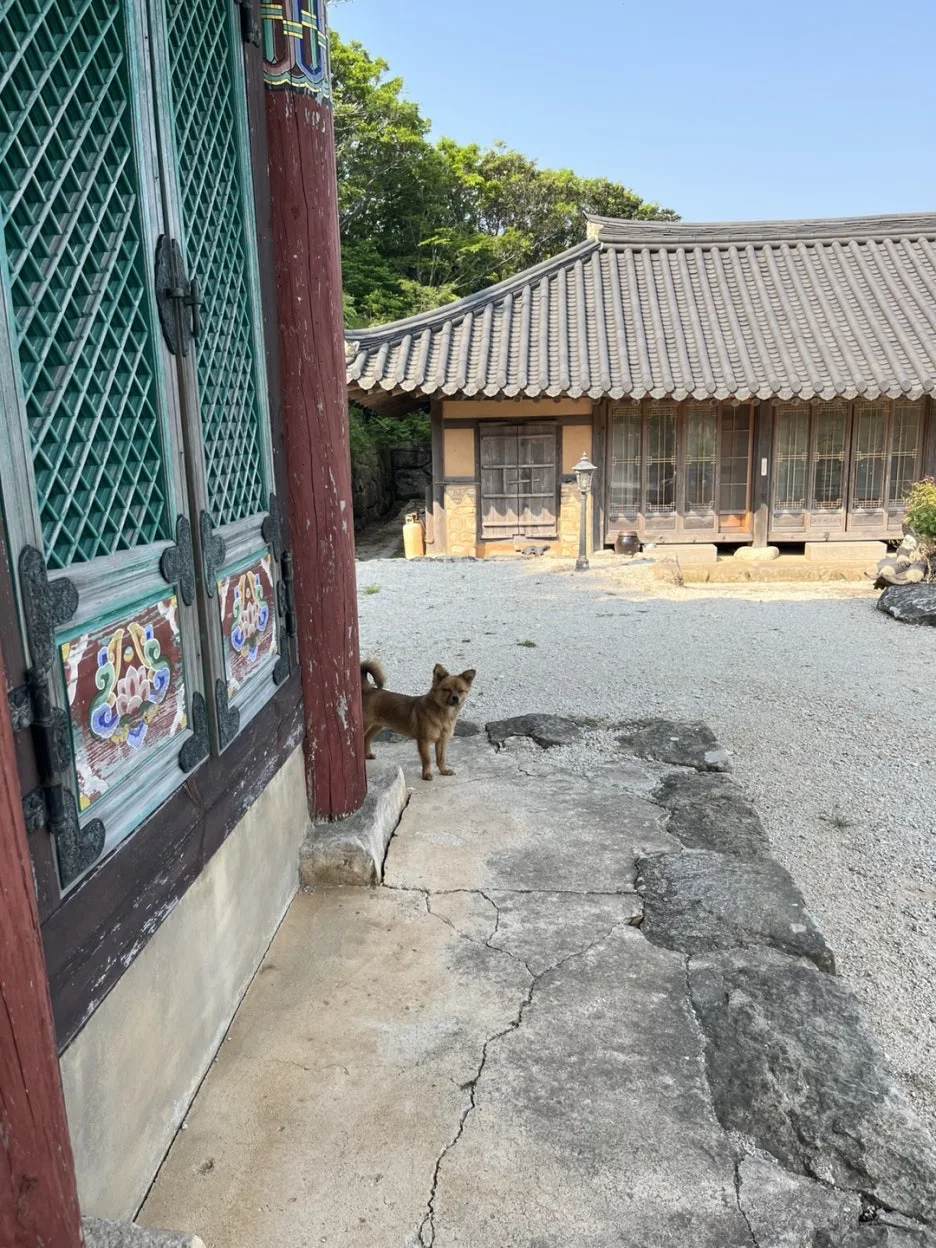 KakaoTalk_20250529_192531920_08.jpg?type=w1