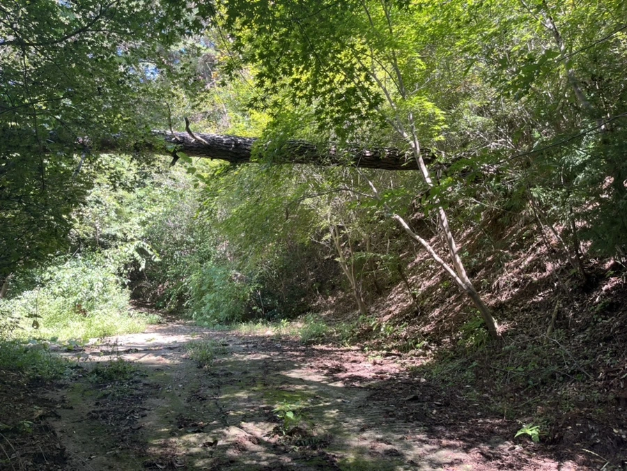 IMG_6739.jpg?type=w1