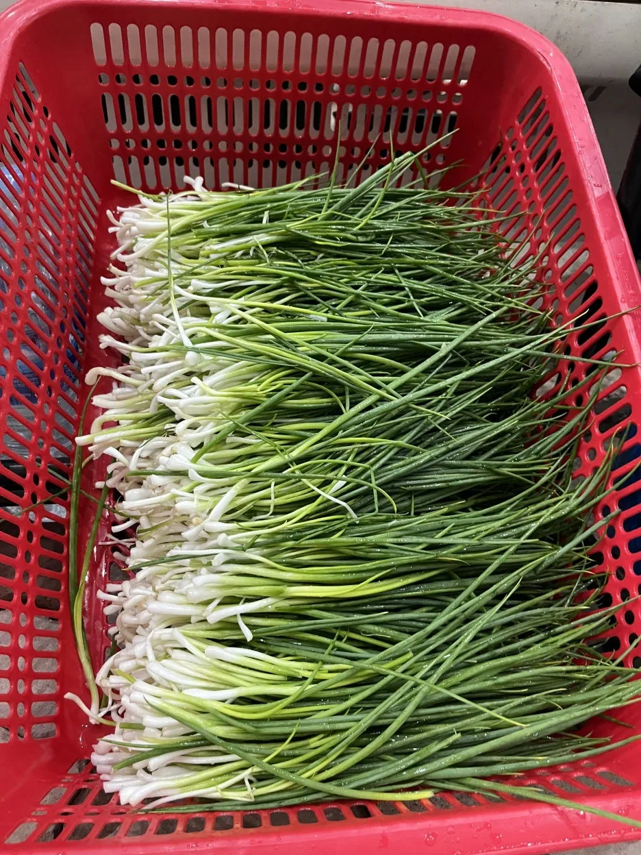 KakaoTalk_20250918_050248673_19.jpg?type=w1