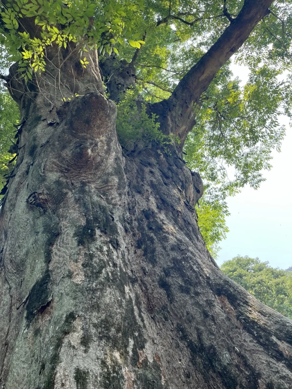 KakaoTalk_20250529_192531920_25.jpg?type=w1