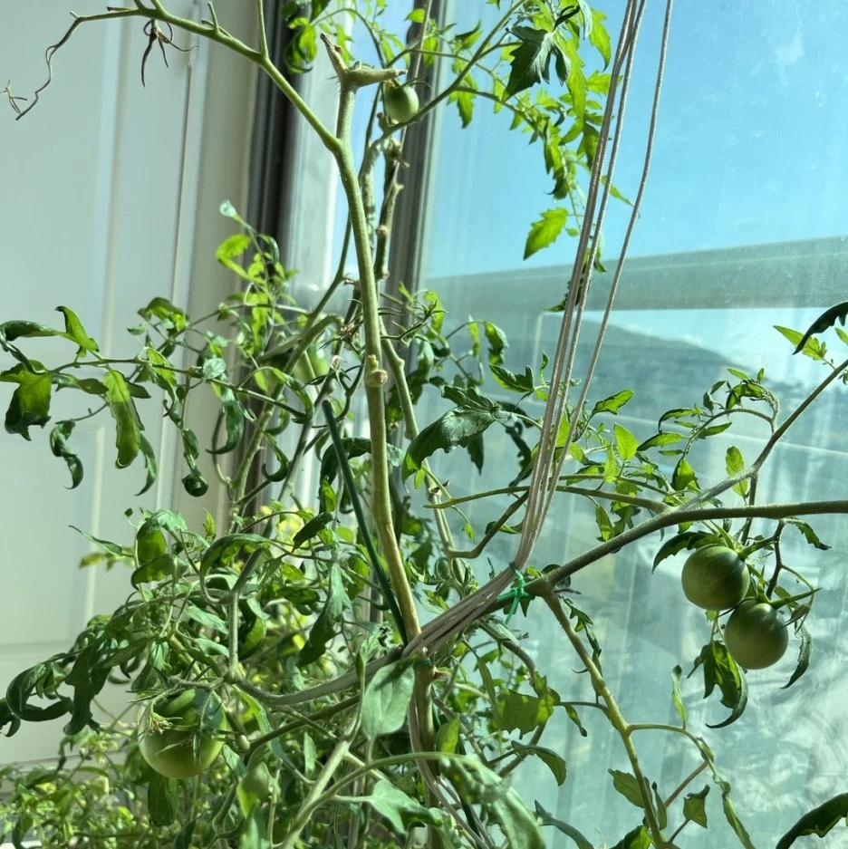 KakaoTalk_20231021_130412083.jpg?type=w1