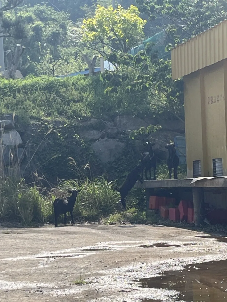 KakaoTalk_20250511_223039309_01.jpg?type=w1