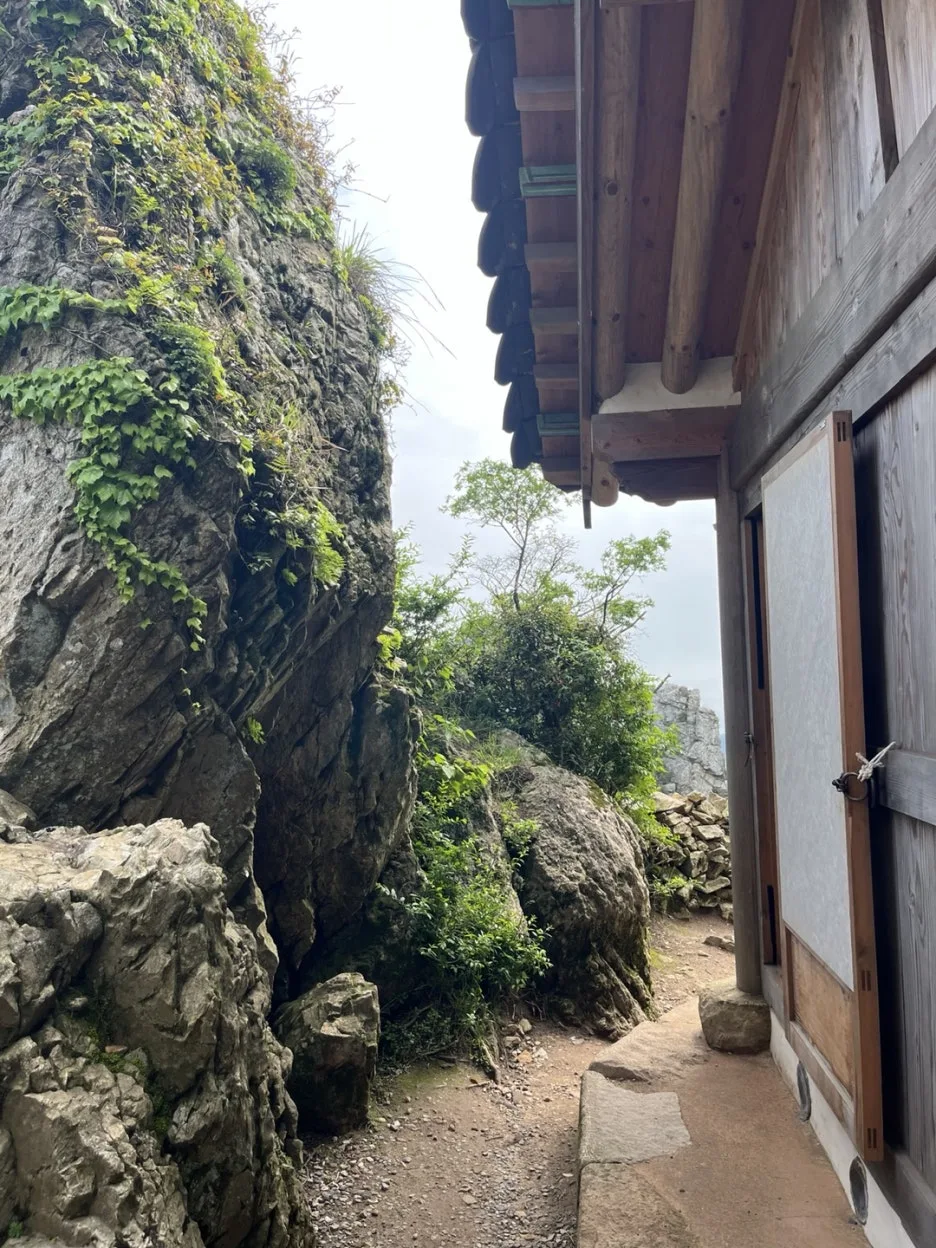 KakaoTalk_20250522_235008417_03.jpg?type=w1