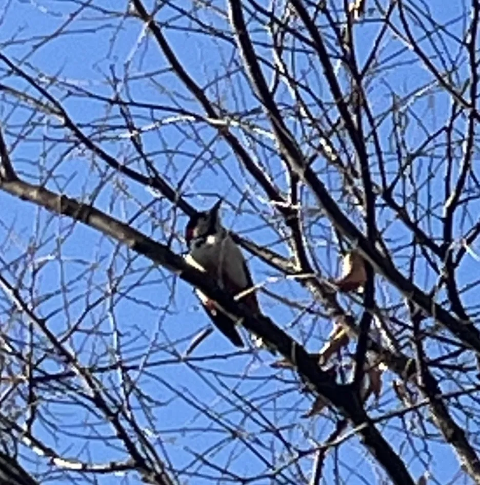 KakaoTalk_20260104_105845565_03.jpg?type=w1