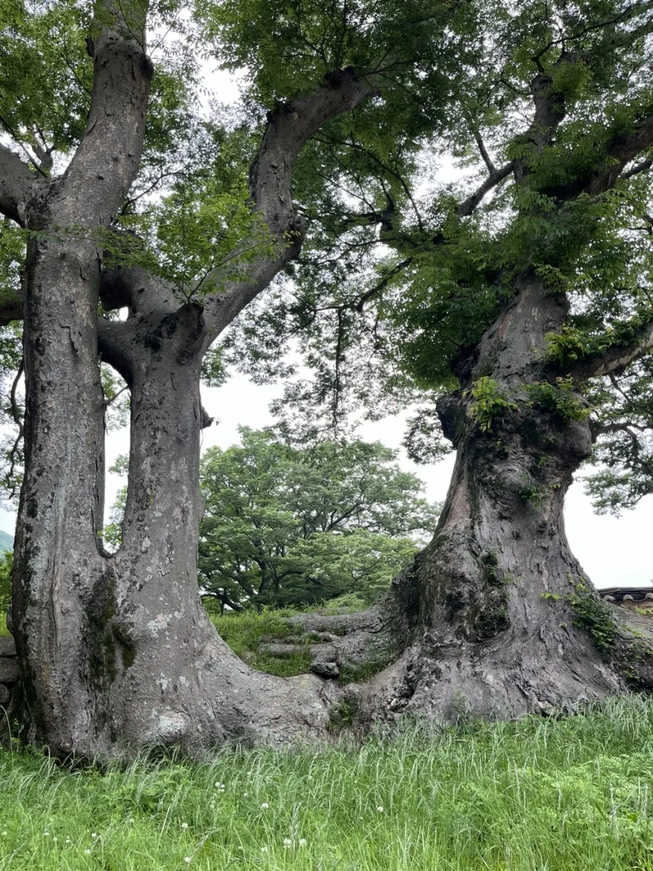 KakaoTalk_20250524_205626134_01.jpg?type=w1