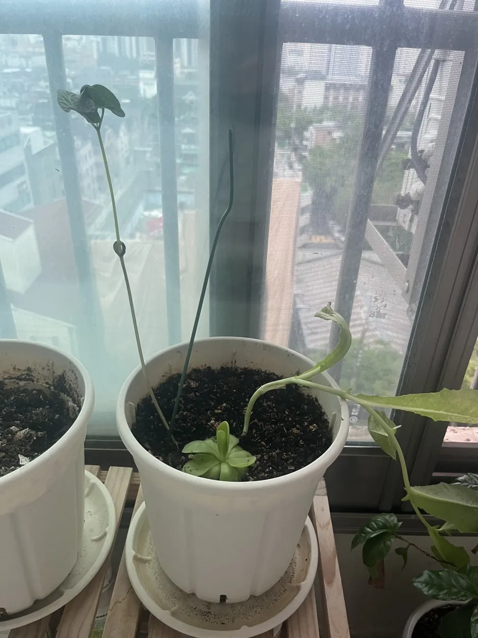 KakaoTalk_20250628_095459608_02.jpg?type=w1