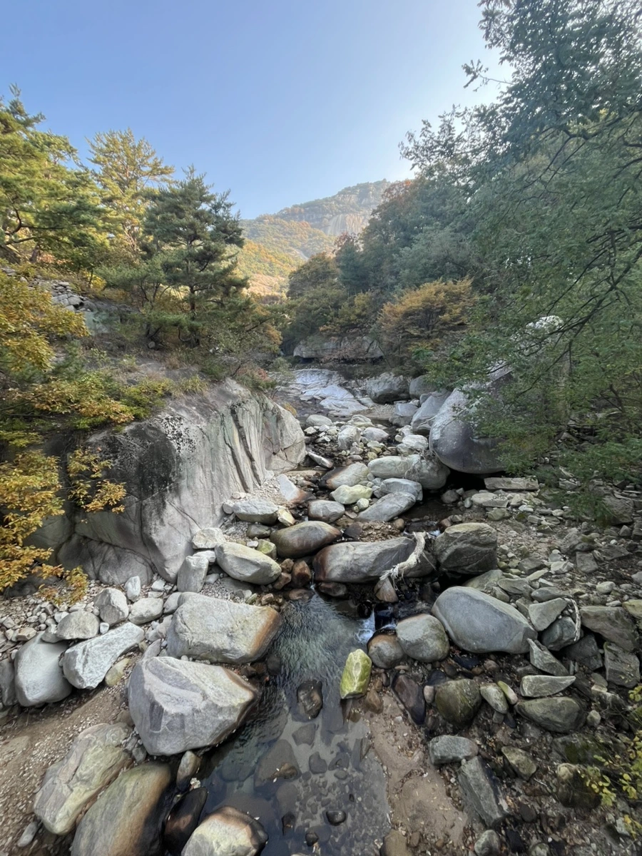 IMG%EF%BC%BF3326.jpg?type=w1