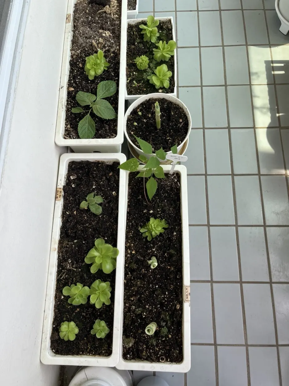 KakaoTalk_20250611_184440877_02.jpg?type=w1