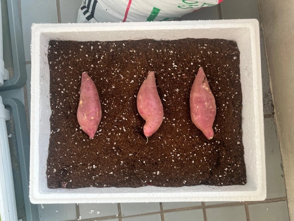 SE-9f1693be-8f1e-4a92-ad38-129c43a3de2c.jpg?type=w1