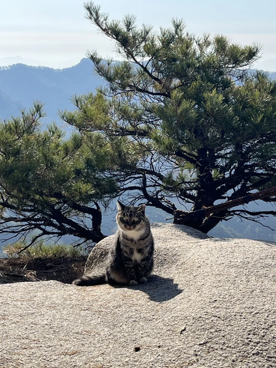 KakaoTalk_20251116_223517170_03.jpg?type=w1