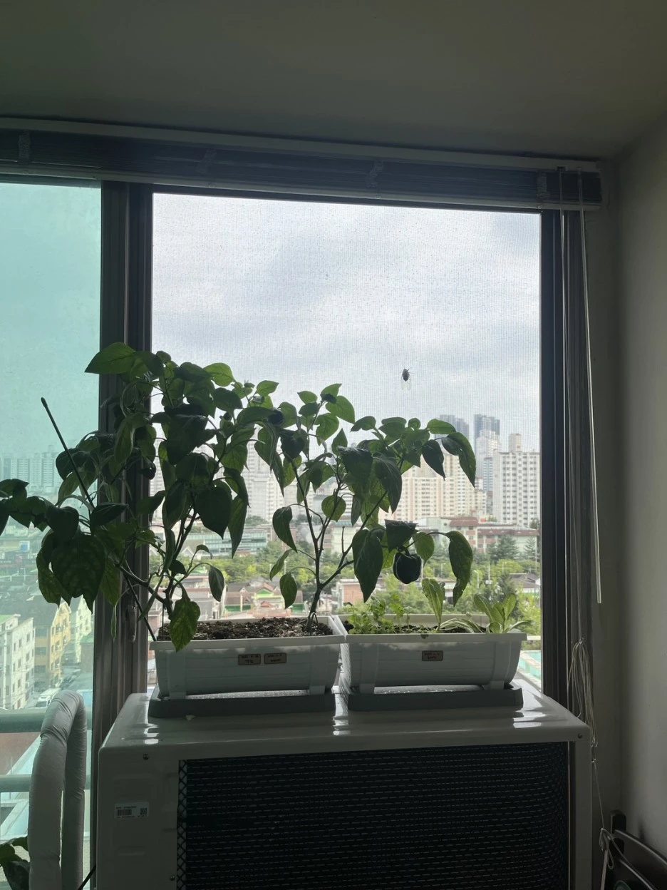 KakaoTalk_20230805_122020245.jpg?type=w1