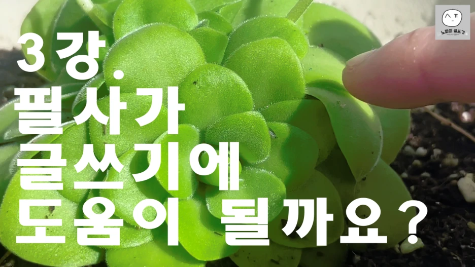 3%EA%B0%95_%EC%8D%B8%EB%84%AC_%EC%9E%90%EB%A7%89.png?type=w1