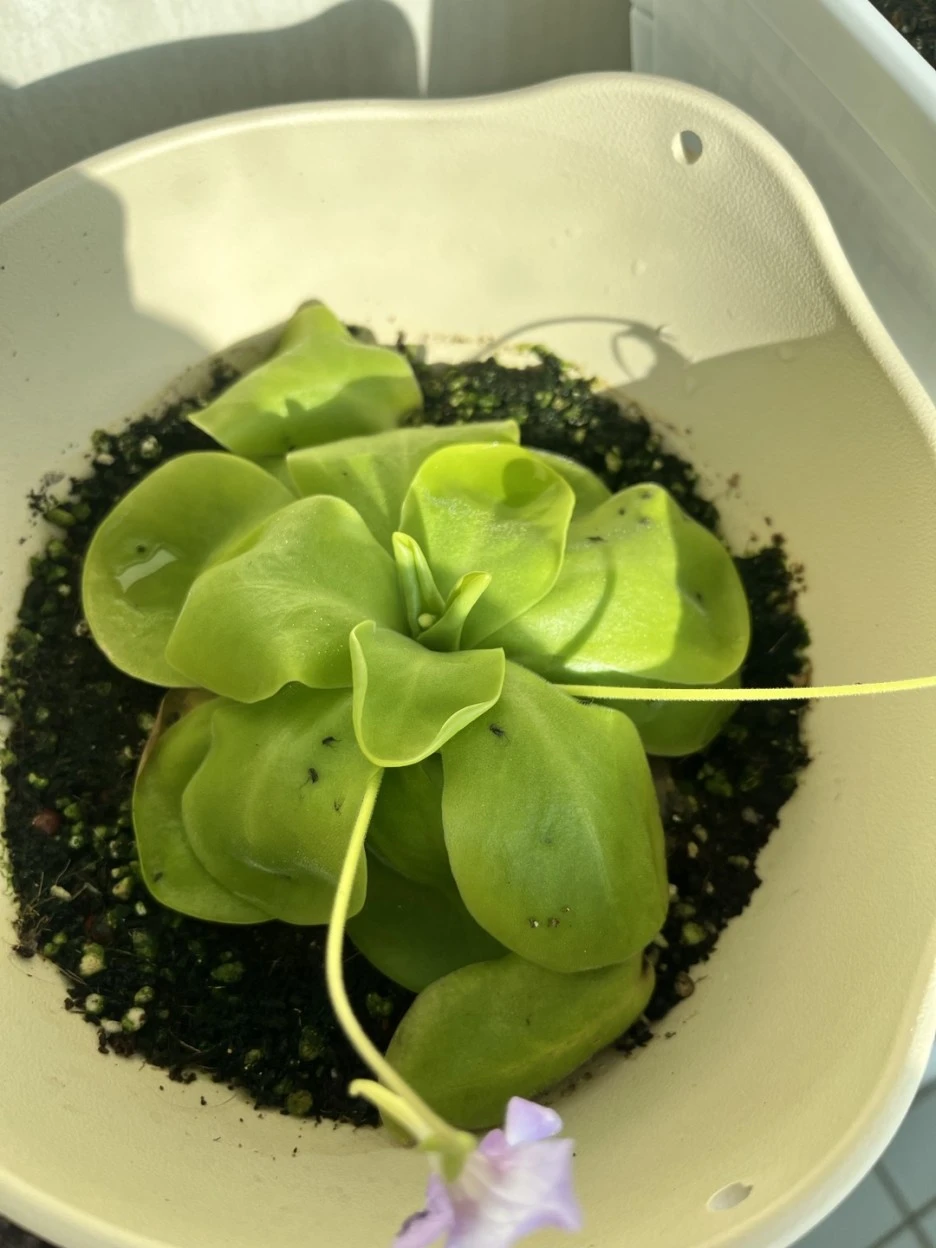 KakaoTalk_20221225_132444590.jpg?type=w1