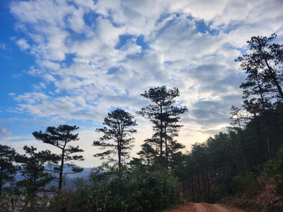 KakaoTalk_20251225_151707753_05.jpg?type=w1