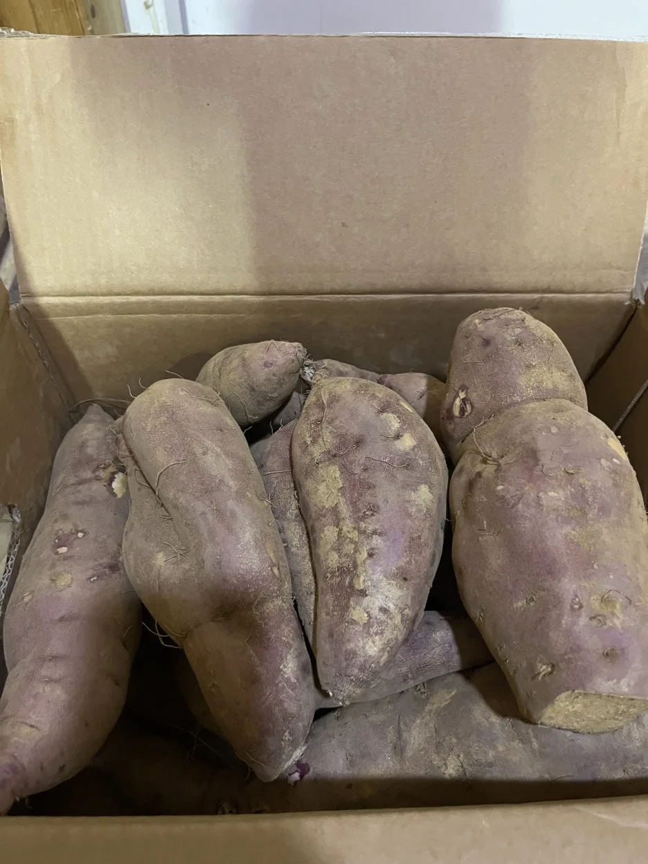 KakaoTalk_20251002_201145776_07.jpg?type=w1