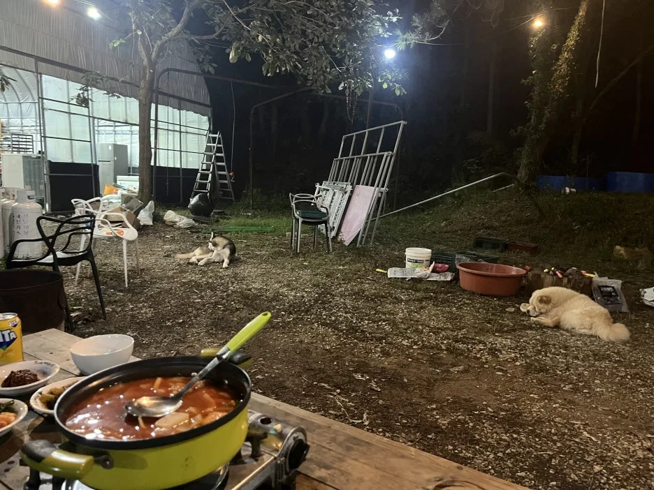 KakaoTalk_20251002_201930556_02.jpg?type=w1