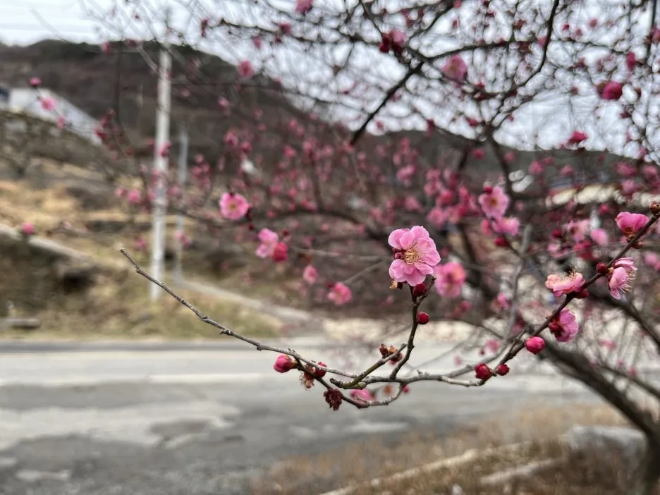 KakaoTalk_20250309_102613643_01.jpg?type=w1