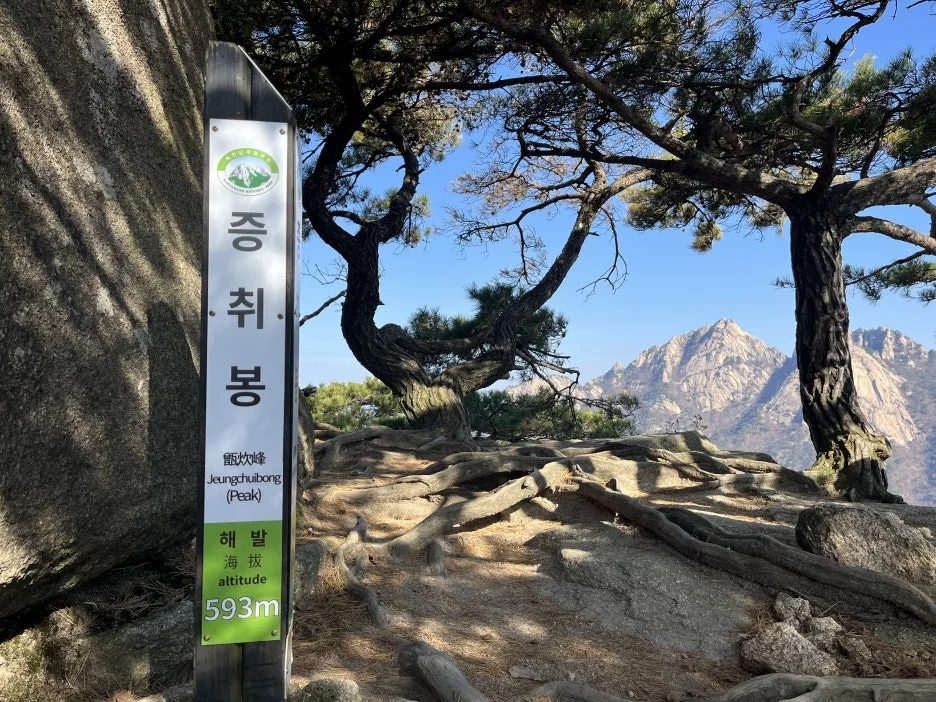 KakaoTalk_20251116_215720415_10.jpg?type=w1