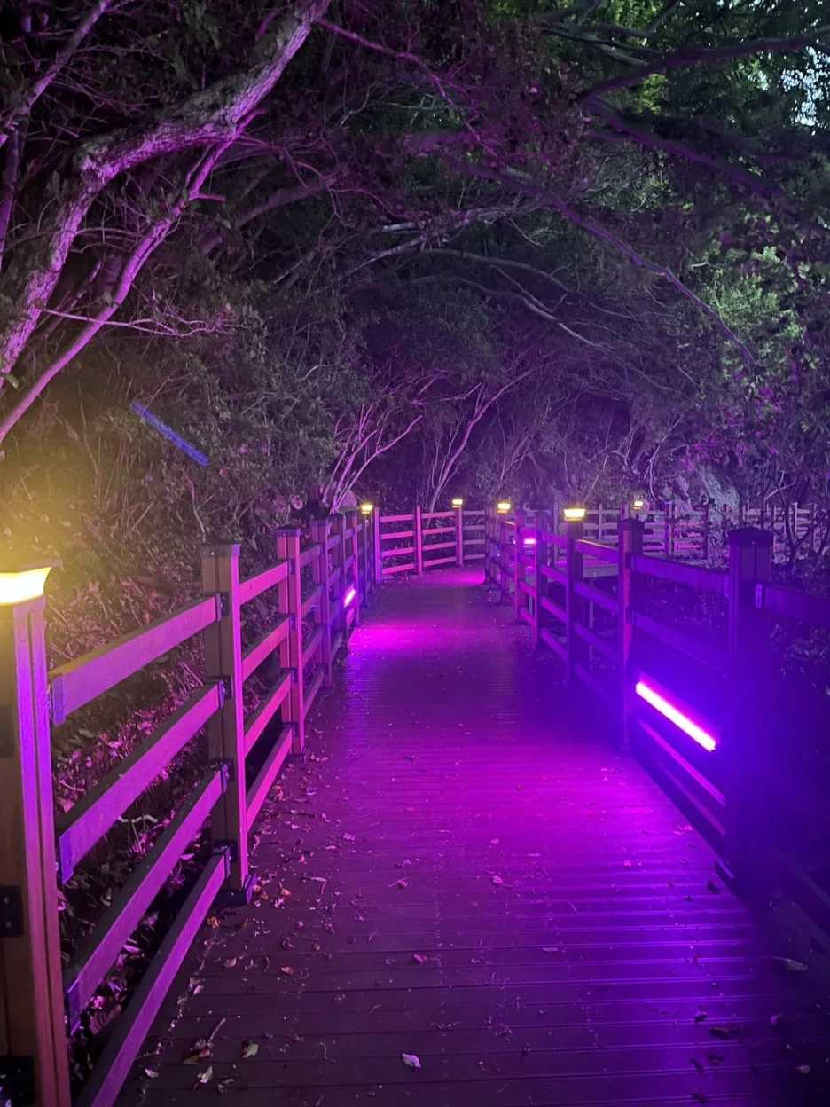 KakaoTalk_20250517_204210669_17.jpg?type=w1