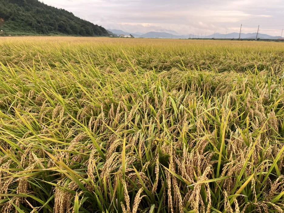 KakaoTalk_20250930_135346076_05.jpg?type=w1