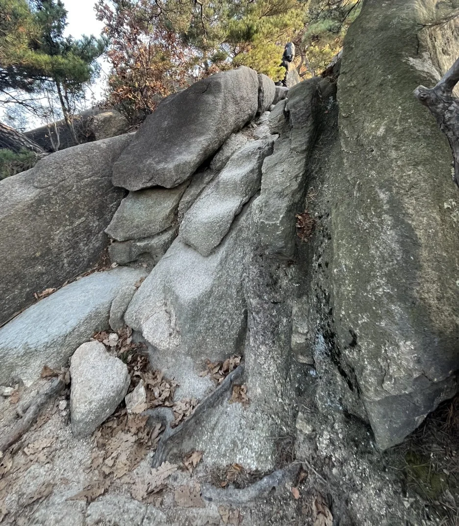 KakaoTalk_20251116_232435475_01.jpg?type=w1