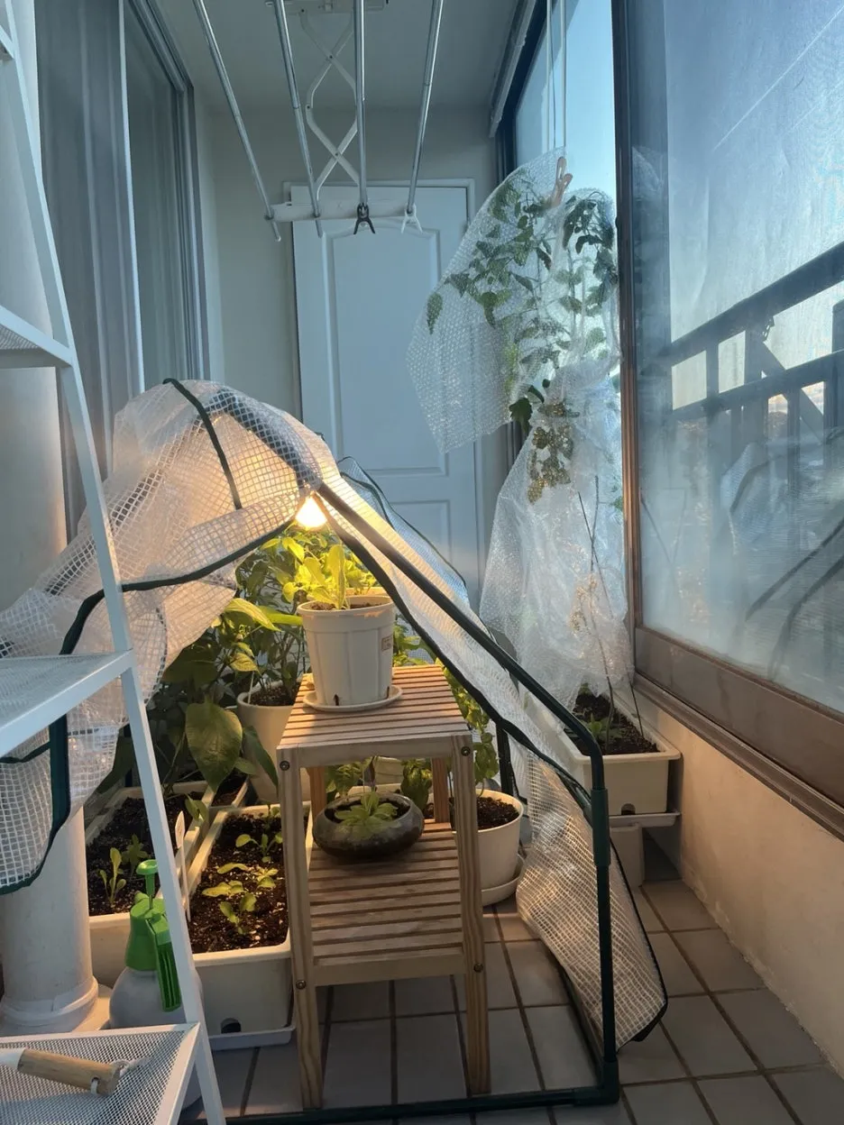 KakaoTalk_20241107_092303997.jpg?type=w1