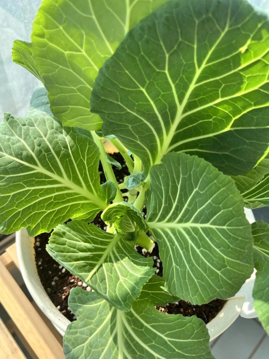 KakaoTalk_20221225_132445862.jpg?type=w1