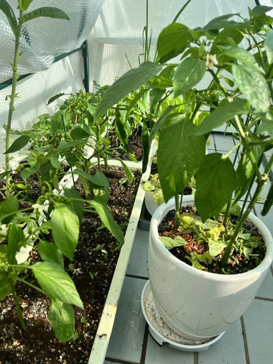 KakaoTalk_20221225_132446252.jpg?type=w1