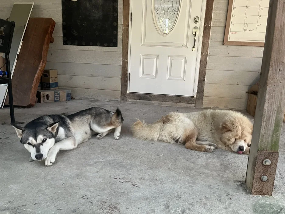 KakaoTalk_20250924_205639521_09.jpg?type=w1