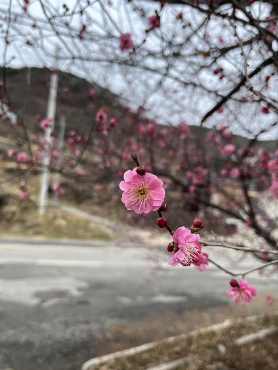 KakaoTalk_20250309_102613643_02.jpg?type=w1