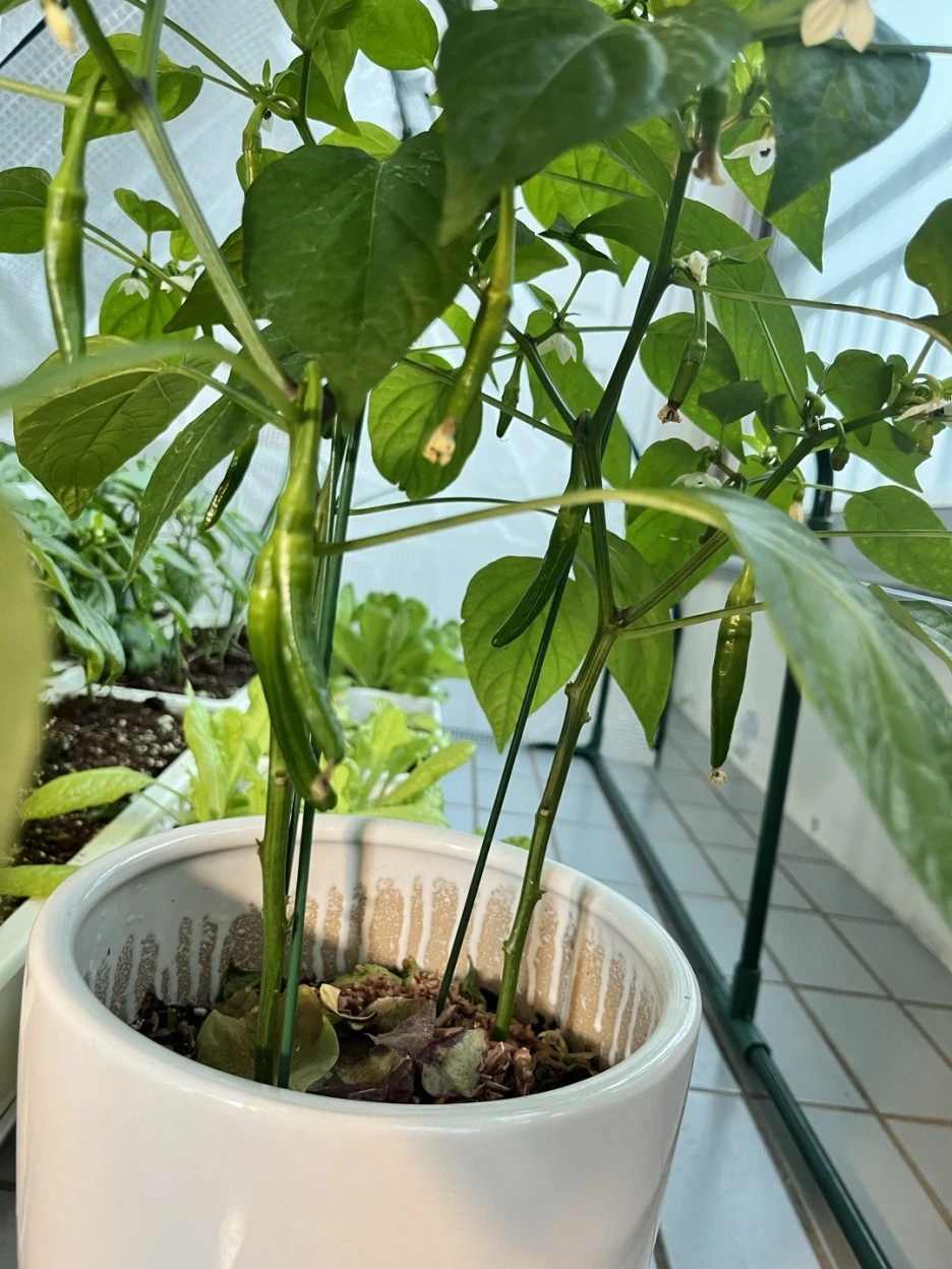 KakaoTalk_20221130_172417937.jpg?type=w1