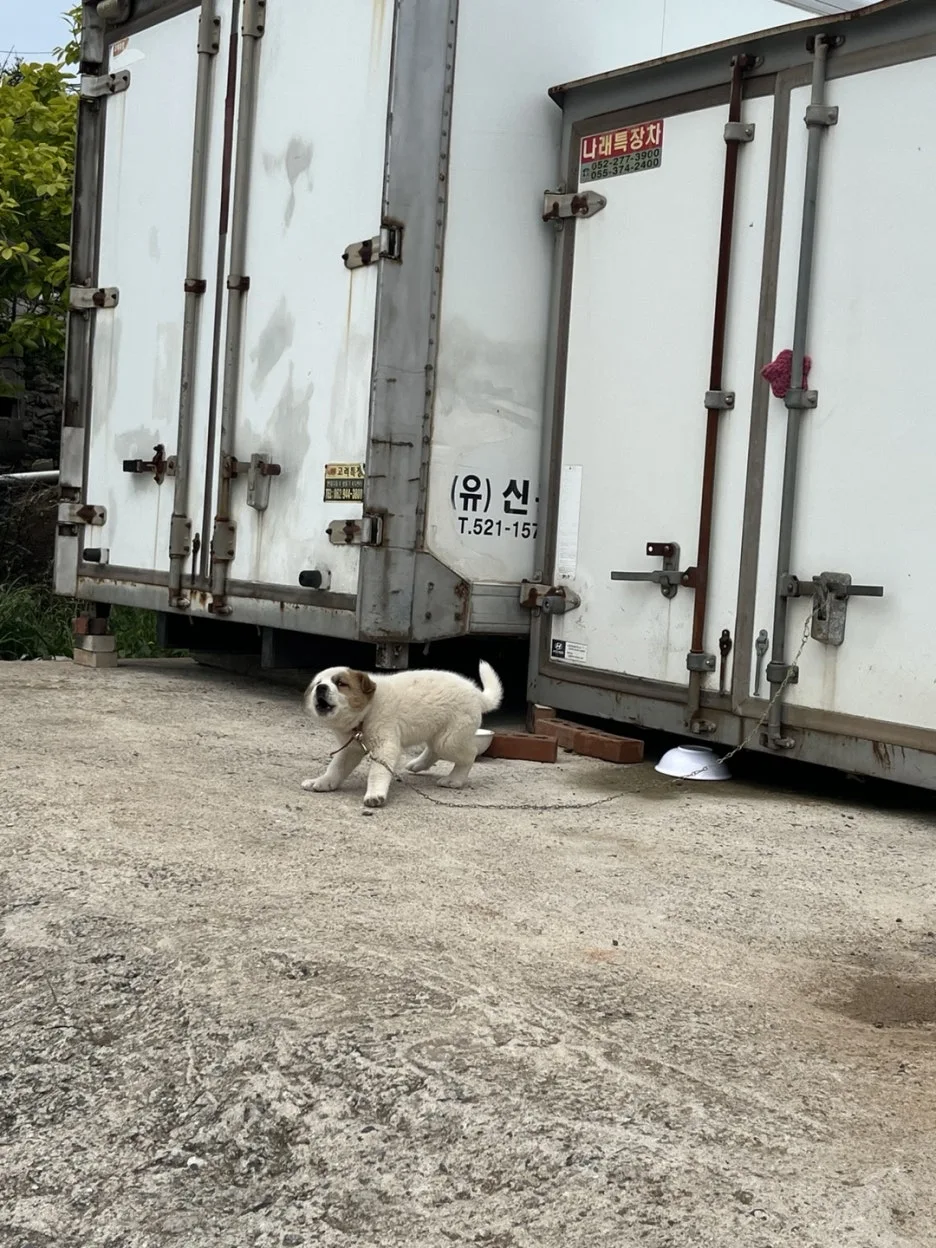 KakaoTalk_20250511_200026341_16.jpg?type=w1