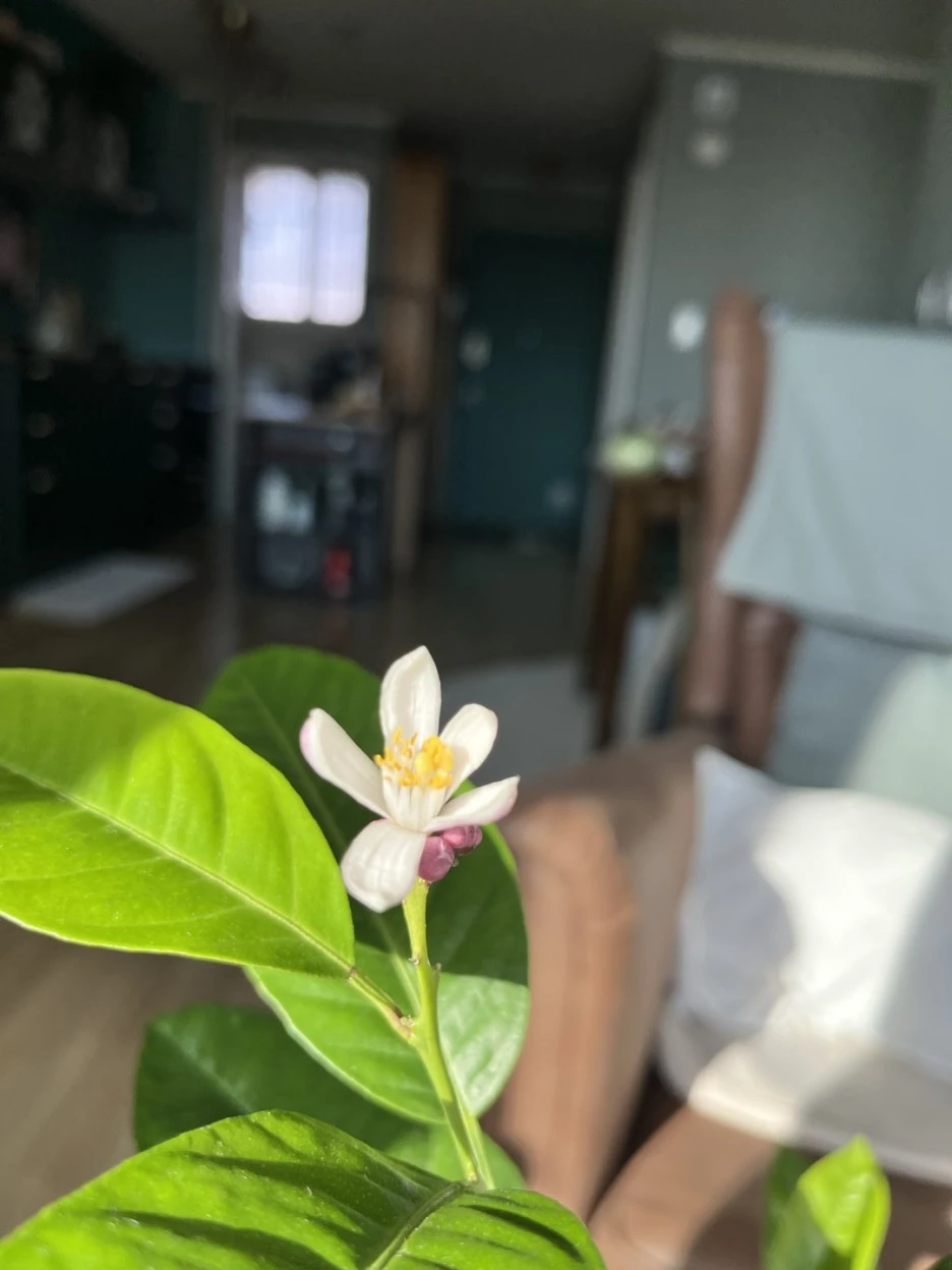 KakaoTalk_20221206_155256537.jpg?typew1