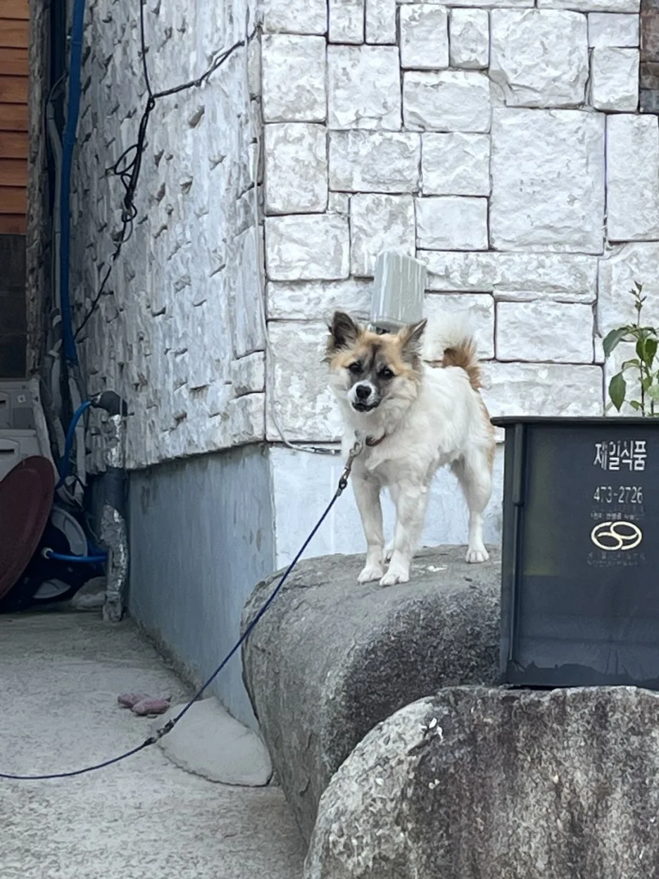 KakaoTalk_20250513_192331592_26.jpg?type=w1