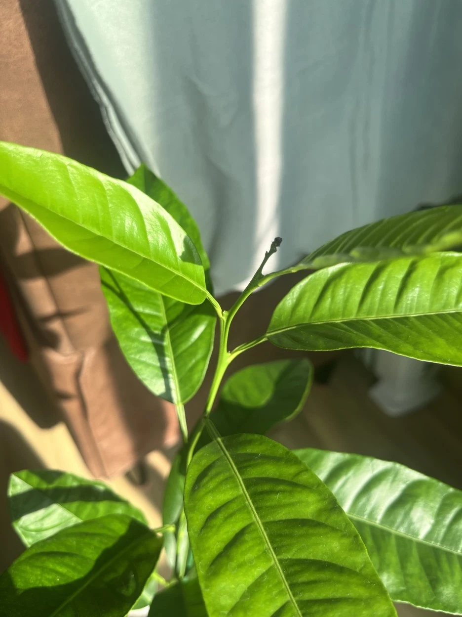 KakaoTalk_20221206_155252713.jpg?typew1