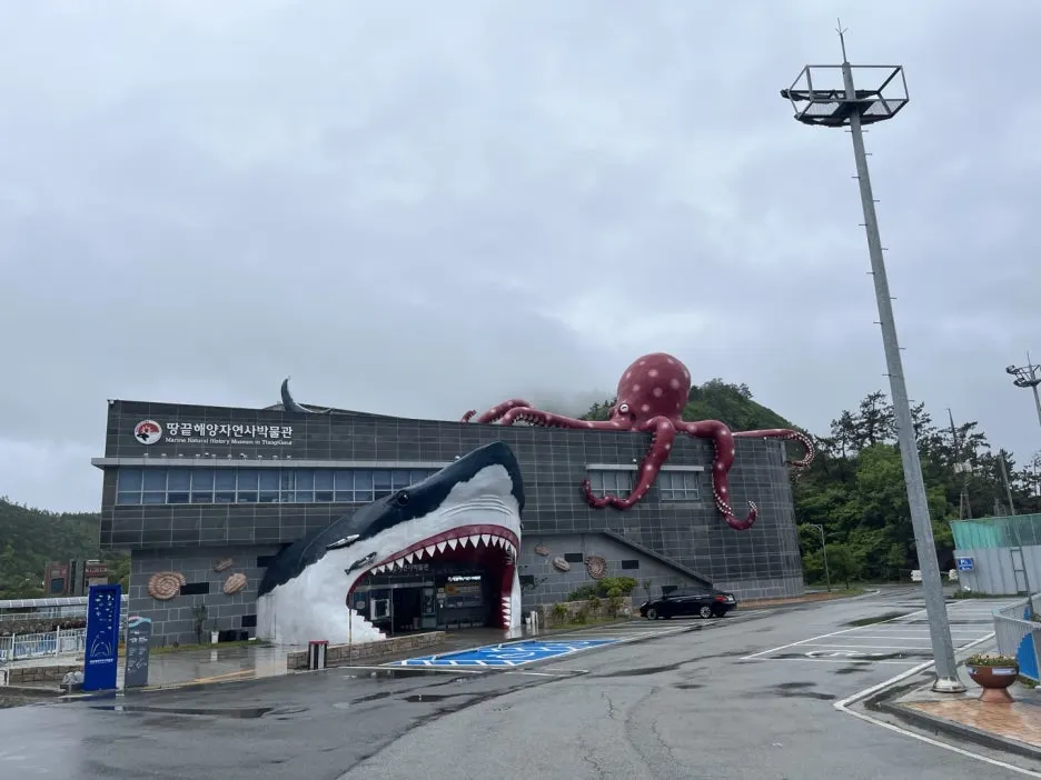 KakaoTalk_20250509_192705651_08.jpg?type=w1