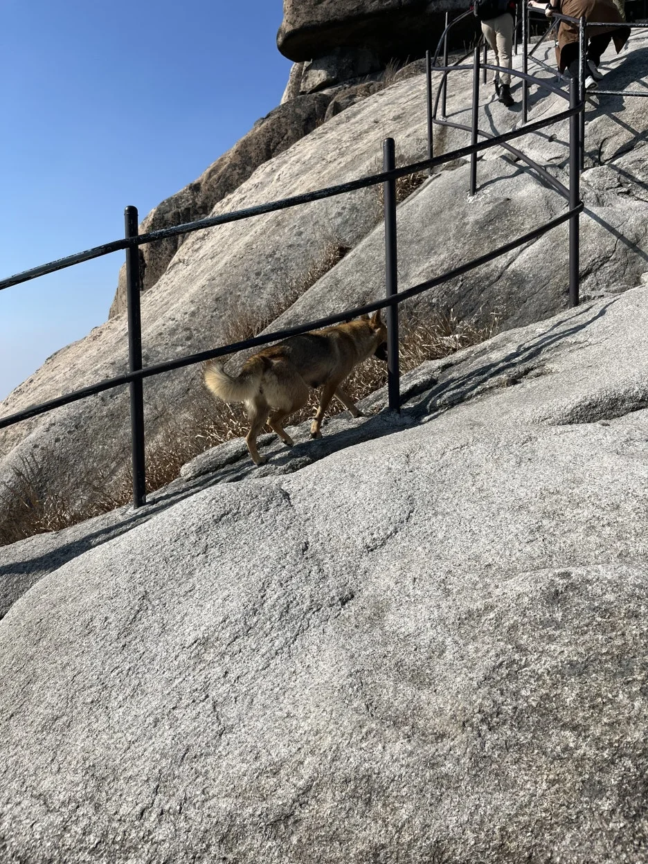 KakaoTalk_20251106_094534561_09.jpg?type=w1