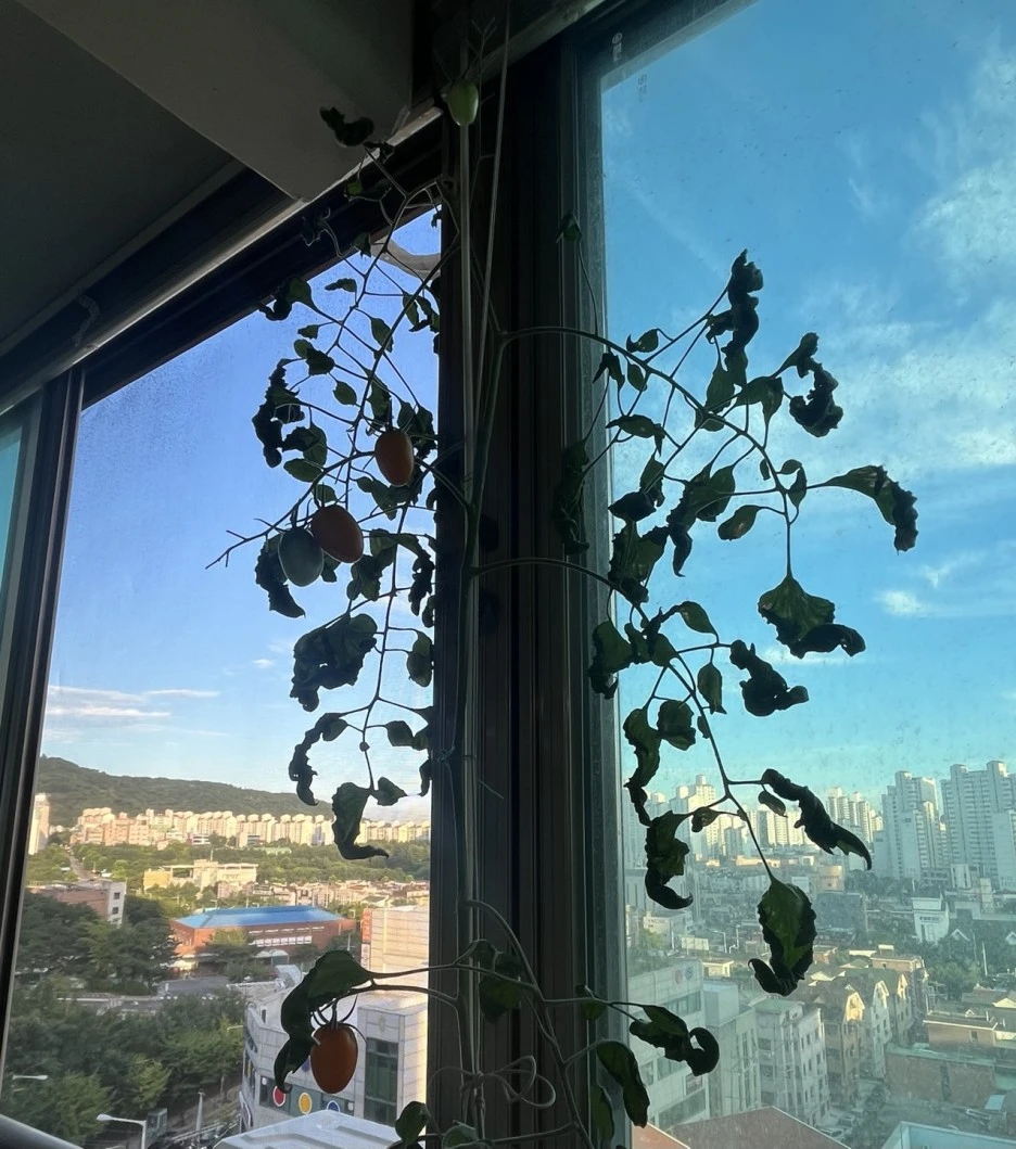 KakaoTalk_20230805_122024744.jpg?type=w1