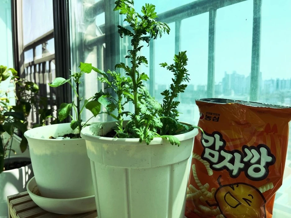 KakaoTalk_20240401_143254853.jpg?type=w1