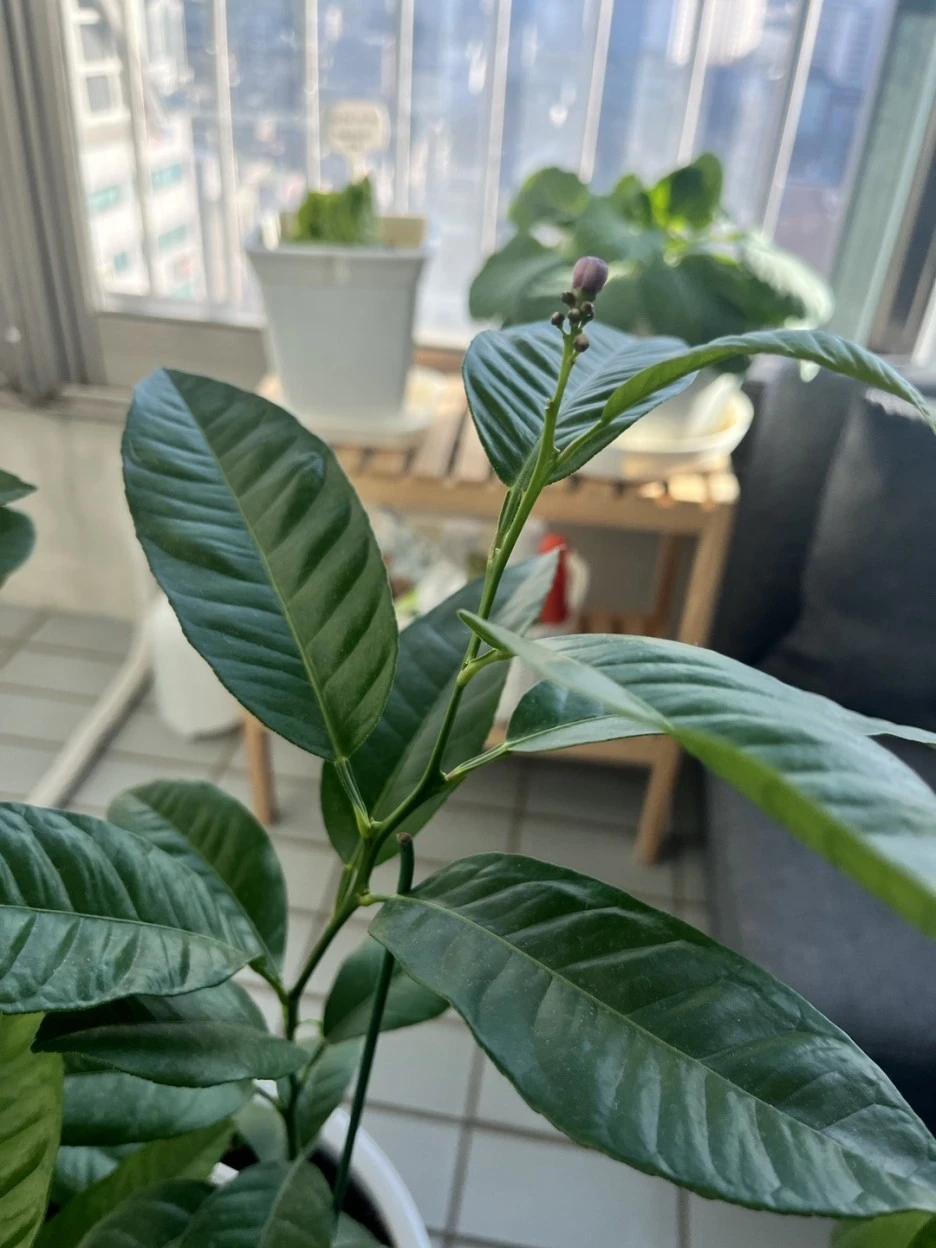 KakaoTalk_20221206_155254505.jpg?typew1