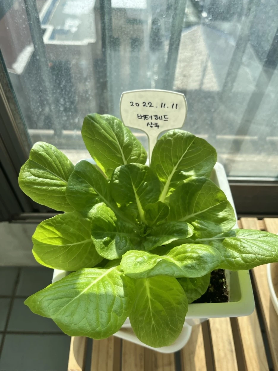 KakaoTalk_20221225_132445537.jpg?type=w1